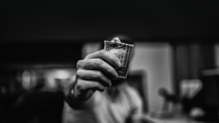 WordPress, the multi-billion dollar software industry that has us begging for money