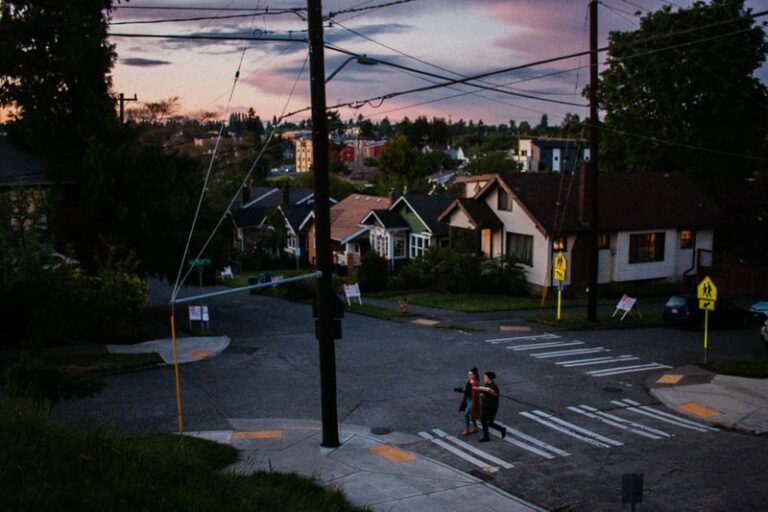 Where Will The WordPress Middle Class Go?