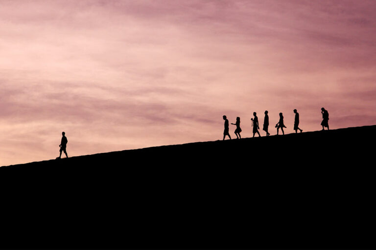 WordPress Block Themes: Who Will Lead the Way?