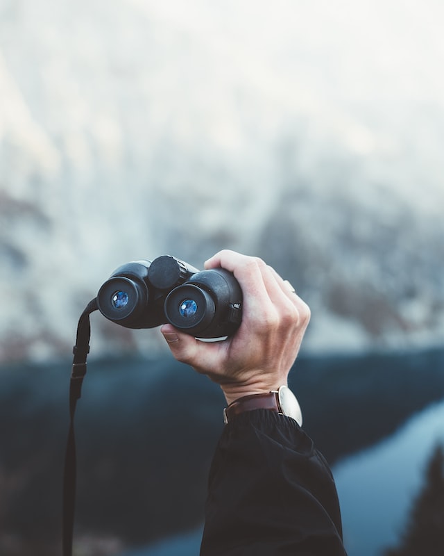 Where is WordPress headed?