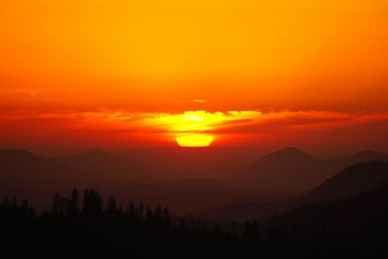 How to sunset your WordPress product