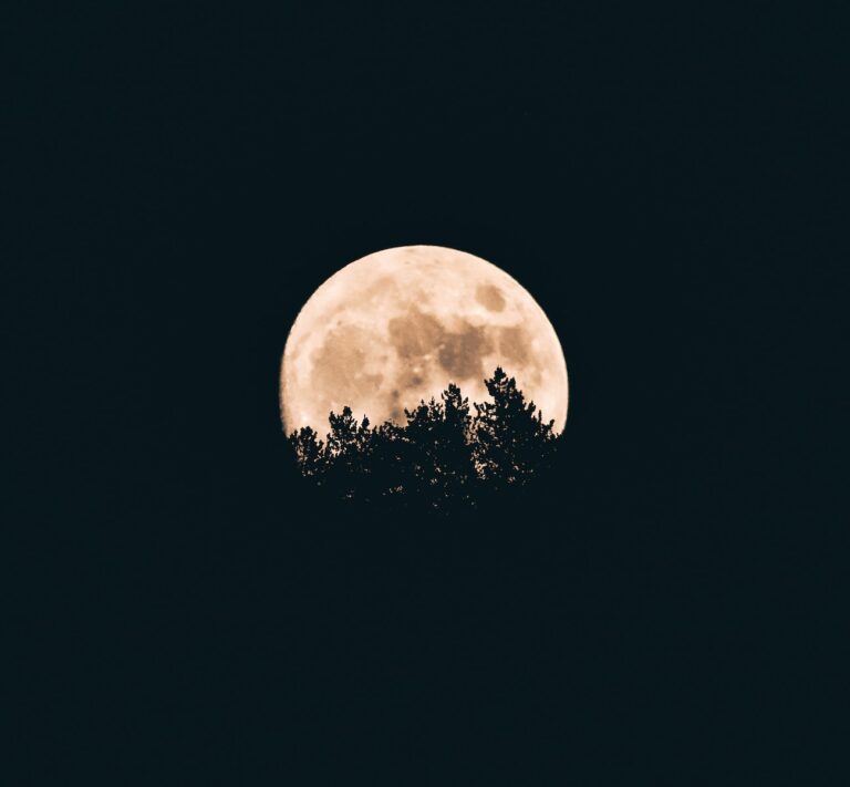 Equalize Digital to the Moon